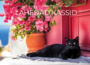 Seinakalender 2026. Lahedad kassid
