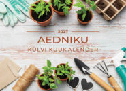 Seinakalender 2027 Aedniku külvi kuukalender