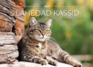 Seinakalender 2027 Lahedad kassid